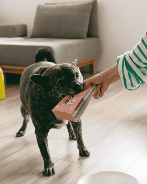 愛犬向け発酵チキンボーンブロス / 160g×2パックセット